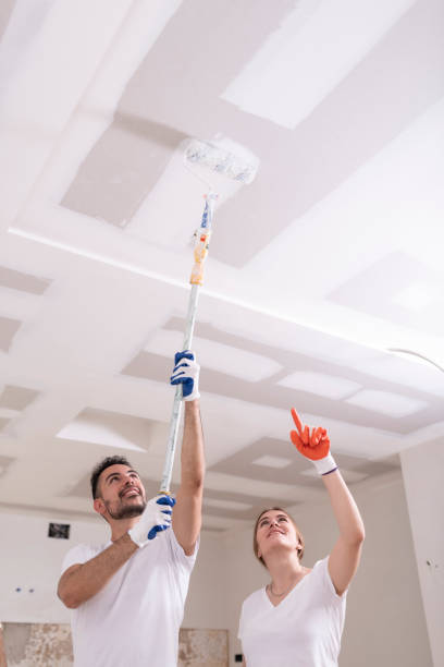 Best Mold Damage Restoration  in Lamar, CO