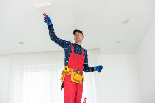 Mold Odor Removal Services in Lamar, CO