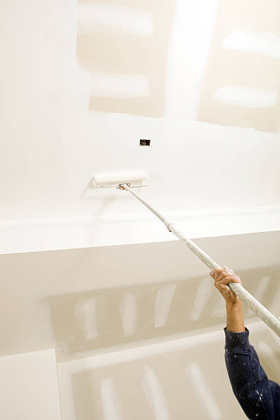 Best Mold Documentation for Insurance Claims  in Lamar, CO