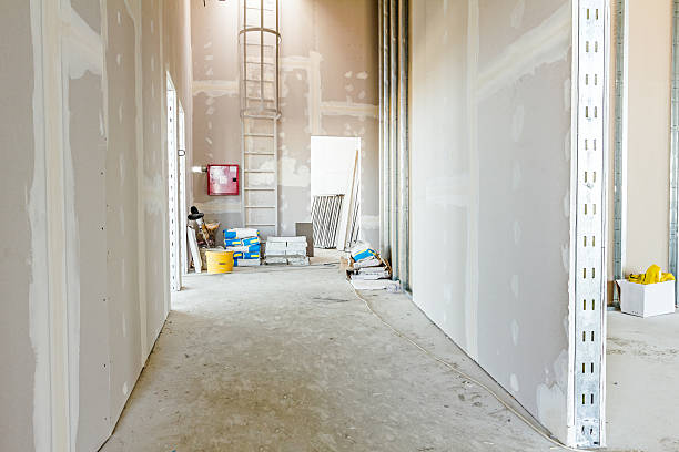 Reliable Lamar, CO Mold Removal Solutions